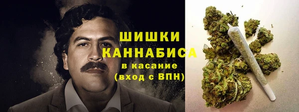 спайс Богданович