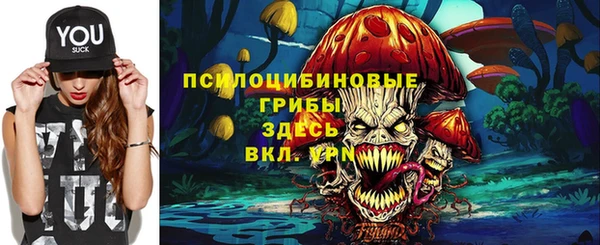 крисы Белоозёрский