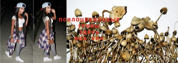 крисы Белоозёрский