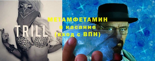 спайс Богданович