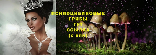 спайс Богданович