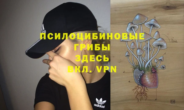 прущие крисы Богородицк