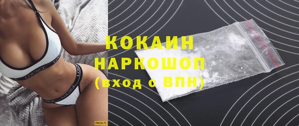 спайс Богданович